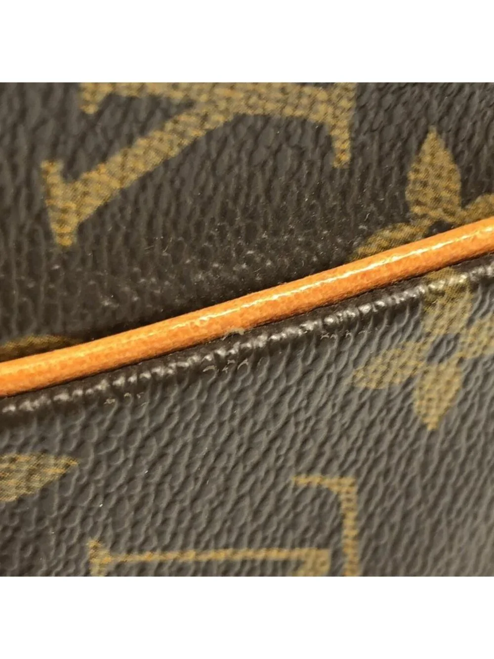 Louis Vuitton Monogram Amazon Shoulder